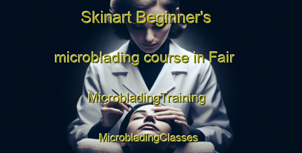 Skinart Beginner's microblading course in Fair | MicrobladingTraining | MicrobladingClasses | SkinartTraining-Argentina