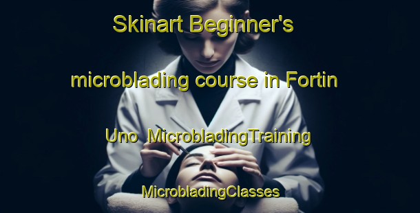 Skinart Beginner's microblading course in Fortin Uno | #MicrobladingTraining #MicrobladingClasses #SkinartTraining-Argentina