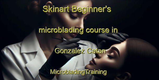 Skinart Beginner's microblading course in Gonzalez Catan | #MicrobladingTraining #MicrobladingClasses #SkinartTraining-Argentina