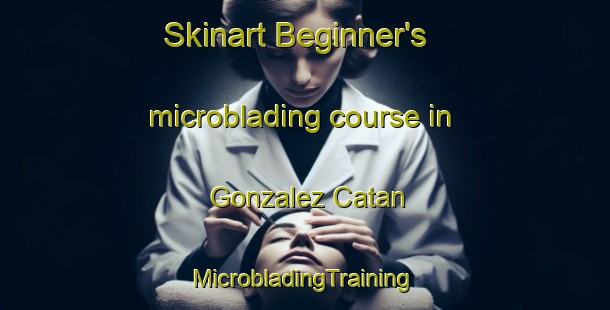 Skinart Beginner's microblading course in Gonzalez Catan | #MicrobladingTraining #MicrobladingClasses #SkinartTraining-Argentina