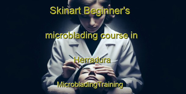 Skinart Beginner's microblading course in Herradura | MicrobladingTraining | MicrobladingClasses | SkinartTraining-Argentina