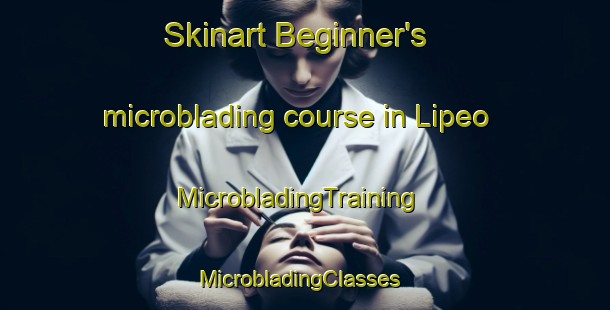 Skinart Beginner's microblading course in Lipeo | MicrobladingTraining | MicrobladingClasses | SkinartTraining-Argentina