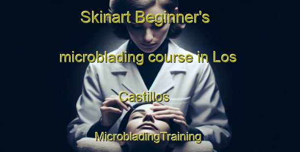 Skinart Beginner's microblading course in Los Castillos | #MicrobladingTraining #MicrobladingClasses #SkinartTraining-Argentina