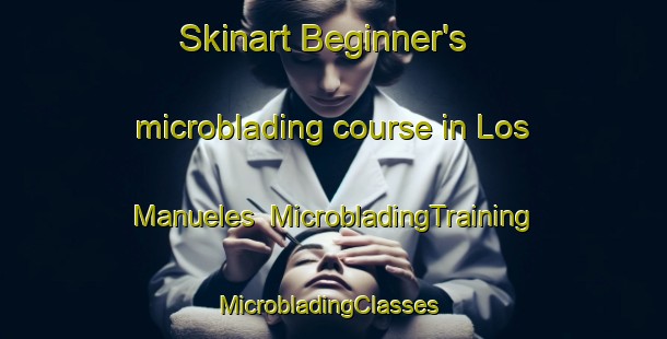 Skinart Beginner's microblading course in Los Manueles | MicrobladingTraining | MicrobladingClasses | SkinartTraining-Argentina