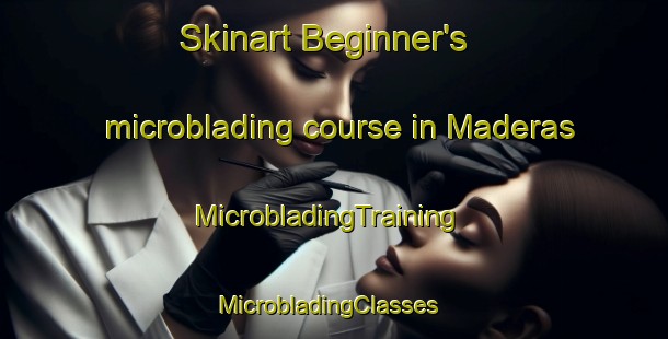 Skinart Beginner's microblading course in Maderas | MicrobladingTraining | MicrobladingClasses | SkinartTraining-Argentina