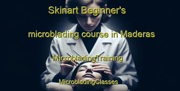 Skinart Beginner's microblading course in Maderas | MicrobladingTraining | MicrobladingClasses | SkinartTraining-Argentina
