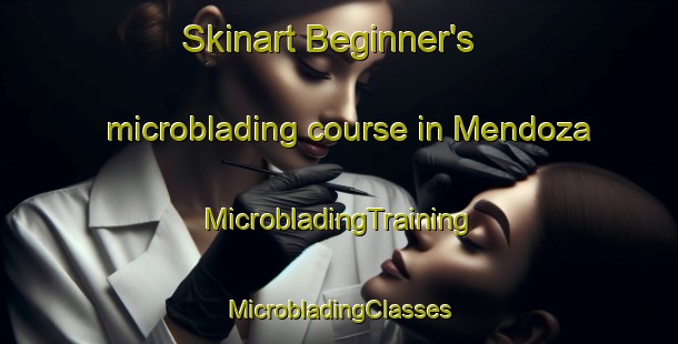 Skinart Beginner's microblading course in Mendoza | #MicrobladingTraining #MicrobladingClasses #SkinartTraining-Argentina