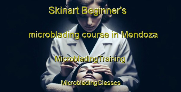 Skinart Beginner's microblading course in Mendoza | #MicrobladingTraining #MicrobladingClasses #SkinartTraining-Argentina