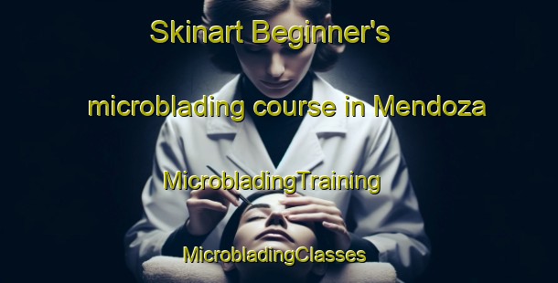 Skinart Beginner's microblading course in Mendoza | MicrobladingTraining | MicrobladingClasses | SkinartTraining-Argentina