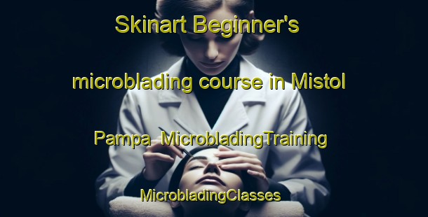 Skinart Beginner's microblading course in Mistol Pampa | MicrobladingTraining | MicrobladingClasses | SkinartTraining-Argentina