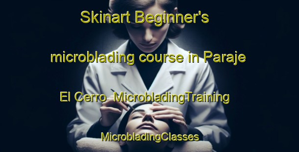 Skinart Beginner's microblading course in Paraje El Cerro | #MicrobladingTraining #MicrobladingClasses #SkinartTraining-Argentina