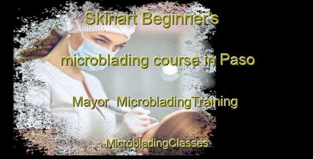 Skinart Beginner's microblading course in Paso Mayor | #MicrobladingTraining #MicrobladingClasses #SkinartTraining-Argentina