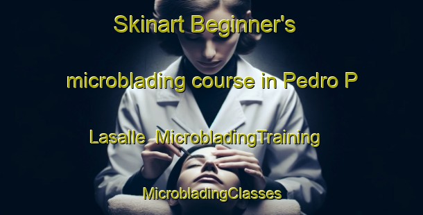 Skinart Beginner's microblading course in Pedro P  Lasalle | #MicrobladingTraining #MicrobladingClasses #SkinartTraining-Argentina