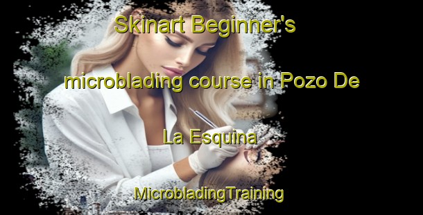 Skinart Beginner's microblading course in Pozo De La Esquina | #MicrobladingTraining #MicrobladingClasses #SkinartTraining-Argentina