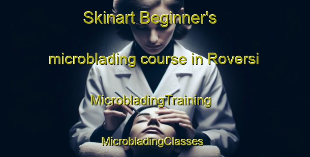 Skinart Beginner's microblading course in Roversi | MicrobladingTraining | MicrobladingClasses | SkinartTraining-Argentina