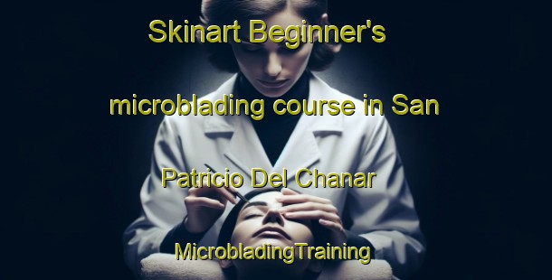 Skinart Beginner's microblading course in San Patricio Del Chanar | #MicrobladingTraining #MicrobladingClasses #SkinartTraining-Argentina