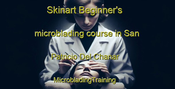 Skinart Beginner's microblading course in San Patricio Del Chanar | MicrobladingTraining | MicrobladingClasses | SkinartTraining-Argentina