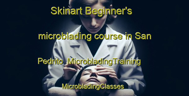 Skinart Beginner's microblading course in San Pedrito | MicrobladingTraining | MicrobladingClasses | SkinartTraining-Argentina