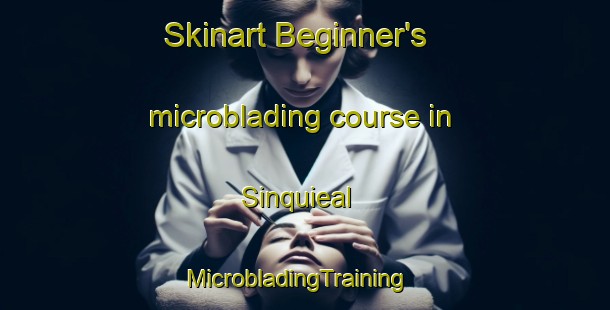 Skinart Beginner's microblading course in Sinquieal | MicrobladingTraining | MicrobladingClasses | SkinartTraining-Argentina
