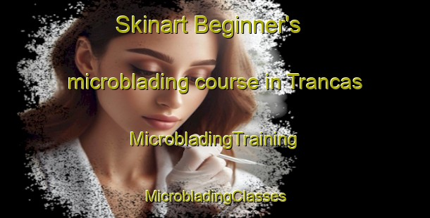 Skinart Beginner's microblading course in Trancas | #MicrobladingTraining #MicrobladingClasses #SkinartTraining-Argentina