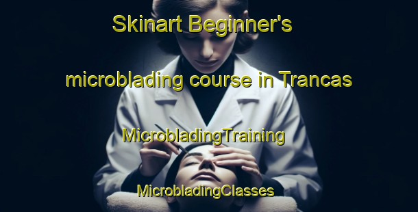 Skinart Beginner's microblading course in Trancas | MicrobladingTraining | MicrobladingClasses | SkinartTraining-Argentina