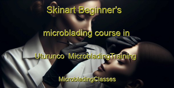 Skinart Beginner's microblading course in Uturunco | #MicrobladingTraining #MicrobladingClasses #SkinartTraining-Argentina