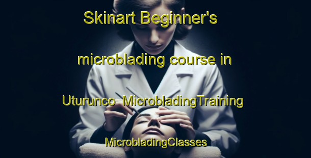 Skinart Beginner's microblading course in Uturunco | #MicrobladingTraining #MicrobladingClasses #SkinartTraining-Argentina