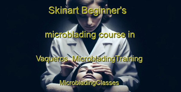 Skinart Beginner's microblading course in Vaqueros | MicrobladingTraining | MicrobladingClasses | SkinartTraining-Argentina