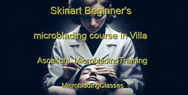 Skinart Beginner's microblading course in Villa Ascasubi | MicrobladingTraining | MicrobladingClasses | SkinartTraining-Argentina