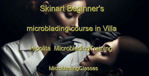 Skinart Beginner's microblading course in Villa Hipolita | MicrobladingTraining | MicrobladingClasses | SkinartTraining-Argentina