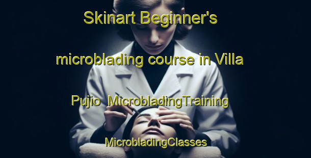 Skinart Beginner's microblading course in Villa Pujio | #MicrobladingTraining #MicrobladingClasses #SkinartTraining-Argentina