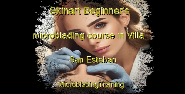 Skinart Beginner's microblading course in Villa San Esteban | #MicrobladingTraining #MicrobladingClasses #SkinartTraining-Argentina