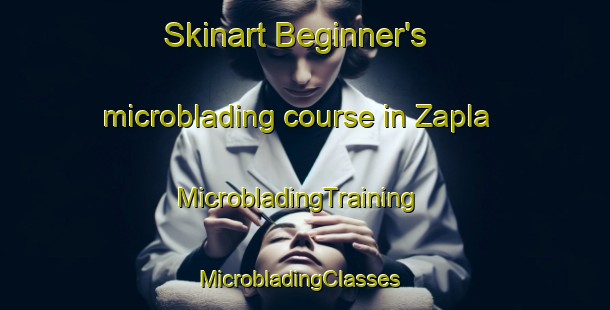 Skinart Beginner's microblading course in Zapla | MicrobladingTraining | MicrobladingClasses | SkinartTraining-Argentina