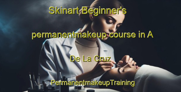 Skinart Beginner's permanentmakeup course in A  De La Cruz | PermanentmakeupTraining | PermanentmakeupClasses | SkinartTraining-Argentina