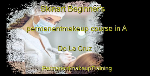 Skinart Beginner's permanentmakeup course in A  De La Cruz | PermanentmakeupTraining | PermanentmakeupClasses | SkinartTraining-Argentina