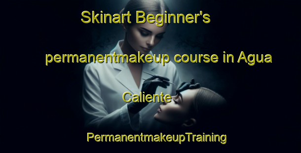 Skinart Beginner's permanentmakeup course in Agua Caliente | #PermanentmakeupTraining #PermanentmakeupClasses #SkinartTraining-Argentina