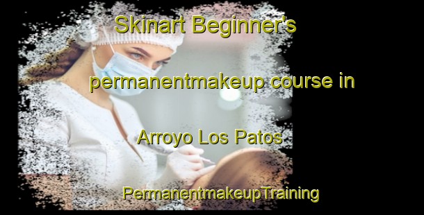 Skinart Beginner's permanentmakeup course in Arroyo Los Patos | #PermanentmakeupTraining #PermanentmakeupClasses #SkinartTraining-Argentina