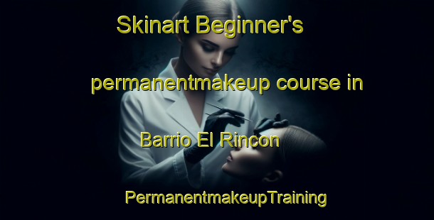 Skinart Beginner's permanentmakeup course in Barrio El Rincon | #PermanentmakeupTraining #PermanentmakeupClasses #SkinartTraining-Argentina