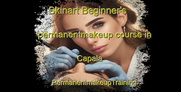 Skinart Beginner's permanentmakeup course in Capala | #PermanentmakeupTraining #PermanentmakeupClasses #SkinartTraining-Argentina