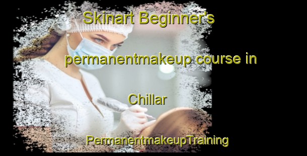 Skinart Beginner's permanentmakeup course in Chillar | PermanentmakeupTraining | PermanentmakeupClasses | SkinartTraining-Argentina