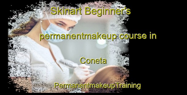 Skinart Beginner's permanentmakeup course in Coneta | #PermanentmakeupTraining #PermanentmakeupClasses #SkinartTraining-Argentina