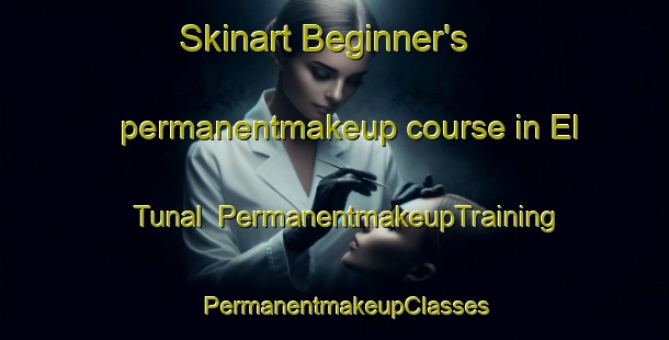 Skinart Beginner's permanentmakeup course in El Tunal | PermanentmakeupTraining | PermanentmakeupClasses | SkinartTraining-Argentina