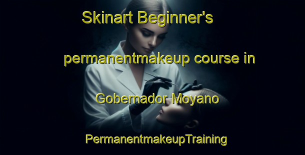 Skinart Beginner's permanentmakeup course in Gobernador Moyano | PermanentmakeupTraining | PermanentmakeupClasses | SkinartTraining-Argentina