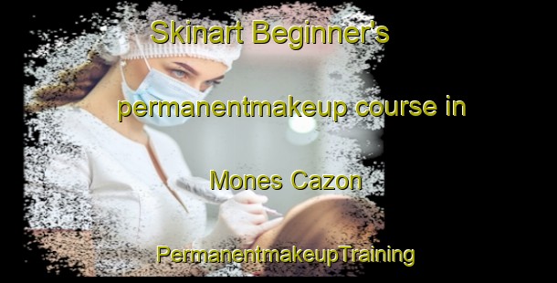Skinart Beginner's permanentmakeup course in Mones Cazon | PermanentmakeupTraining | PermanentmakeupClasses | SkinartTraining-Argentina