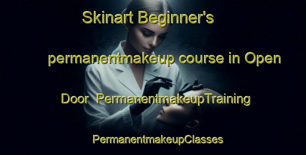 Skinart Beginner's permanentmakeup course in Open Door | PermanentmakeupTraining | PermanentmakeupClasses | SkinartTraining-Argentina