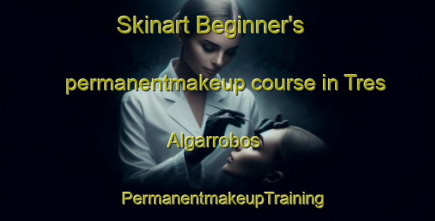 Skinart Beginner's permanentmakeup course in Tres Algarrobos | PermanentmakeupTraining | PermanentmakeupClasses | SkinartTraining-Argentina