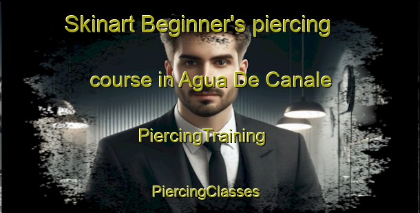 Skinart Beginner's piercing course in Agua De Canale | PiercingTraining | PiercingClasses | SkinartTraining-Argentina