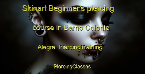 Skinart Beginner's piercing course in Barrio Colonia Alegre | #PiercingTraining #PiercingClasses #SkinartTraining-Argentina