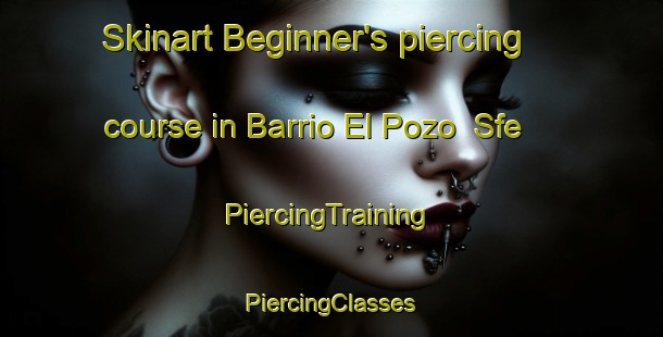 Skinart Beginner's piercing course in Barrio El Pozo  Sfe | #PiercingTraining #PiercingClasses #SkinartTraining-Argentina