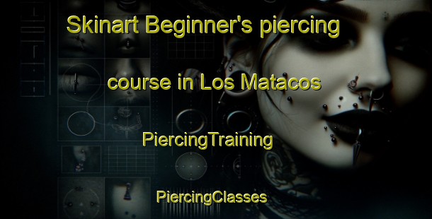 Skinart Beginner's piercing course in Los Matacos | PiercingTraining | PiercingClasses | SkinartTraining-Argentina